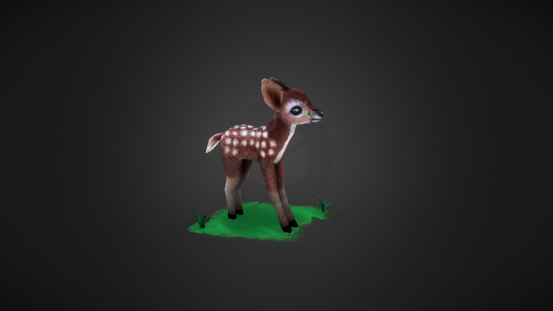 Cute Roe Deer