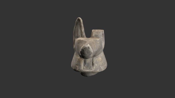Jackal Head 3D Model