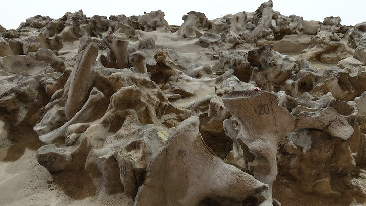 Mezhirich mammoth bone hut 3D Model