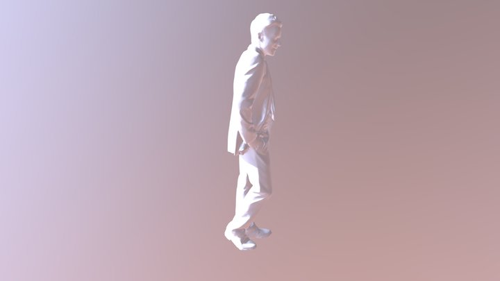 Steve 3D Model