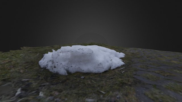 Snow pile 3D Model