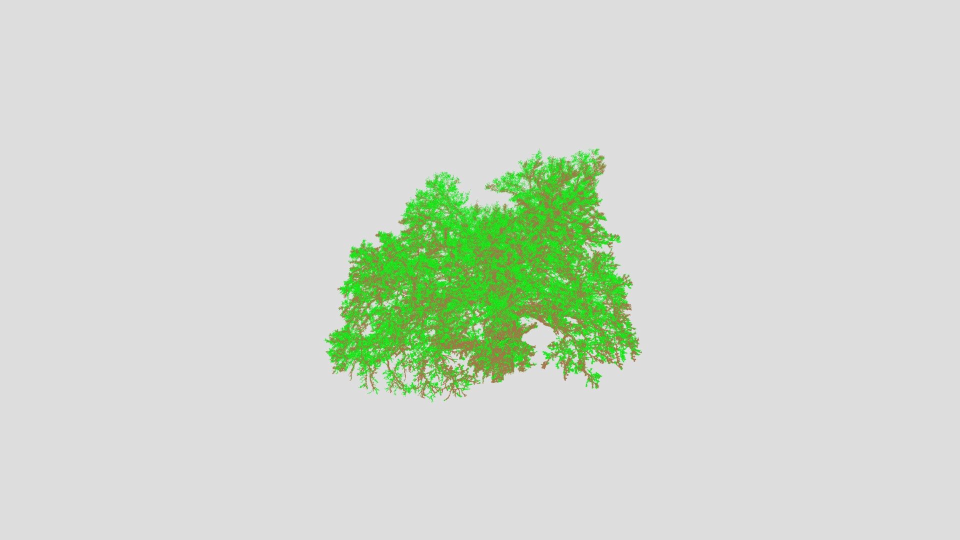 Tree_0001 - 3D model by forestdesign [c4a340c] - Sketchfab