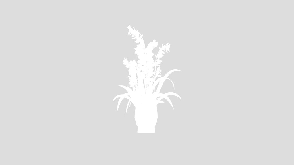 Green Orchid Plant In Pot