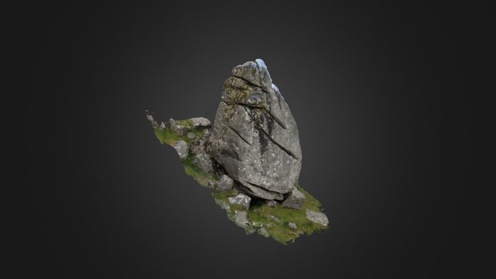 Cuckoo Rock, Dartmoor 3D Model