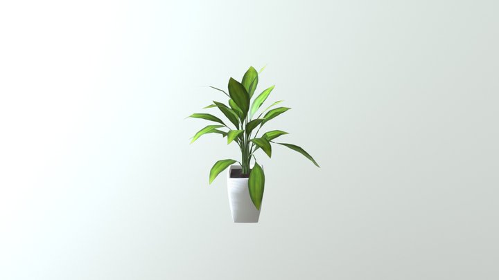 house_plant 3D Model