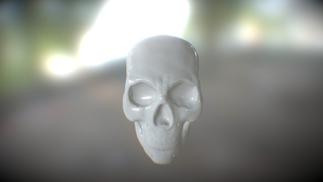 skull 3D Model