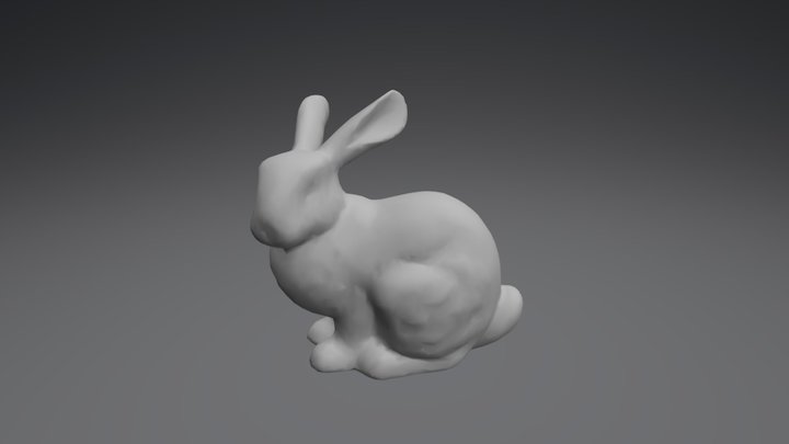 bunny 3D Model