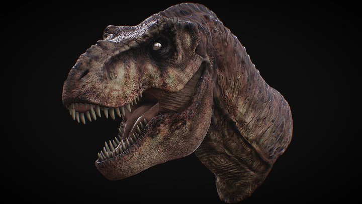 Rexy 3D Models - Sketchfab