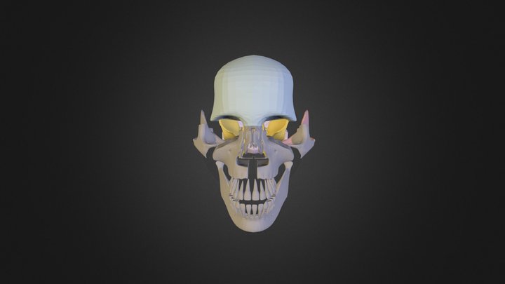 Skull 1 3D Model