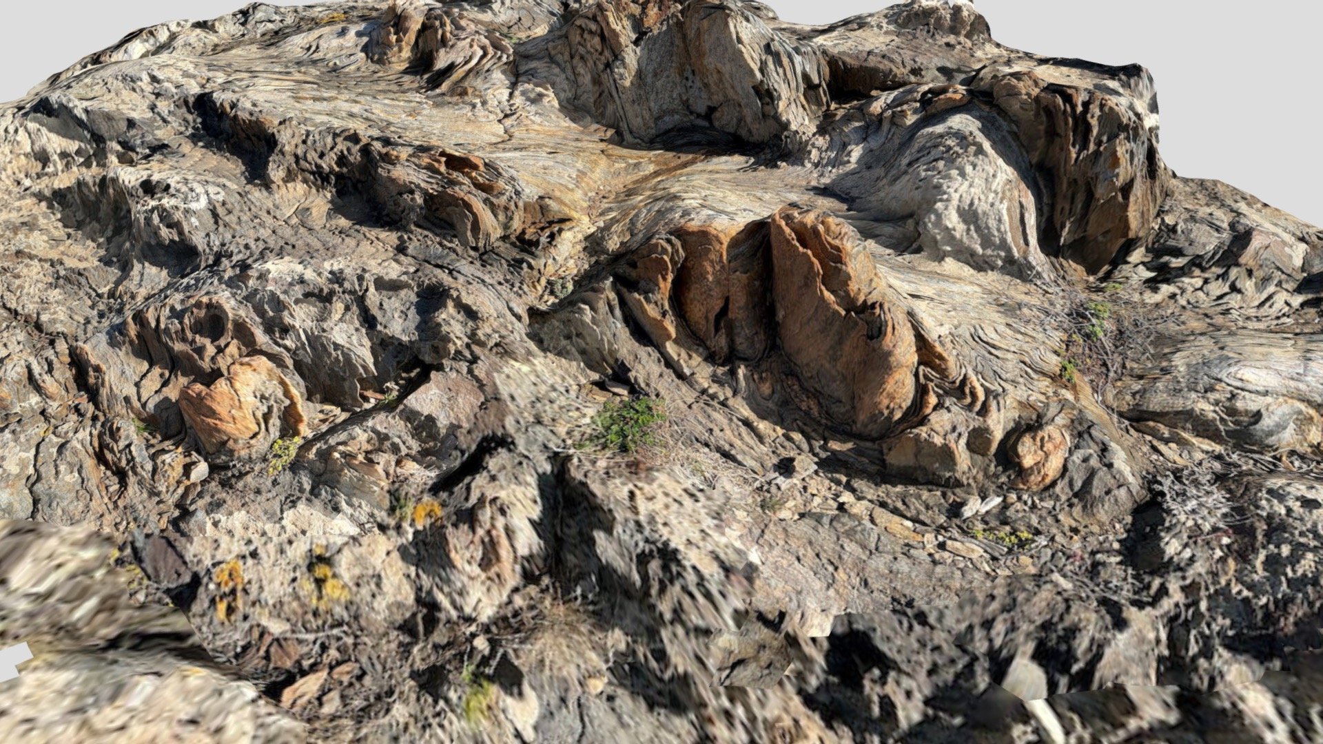 Folded quartzites (Cap de Creus - Spain)