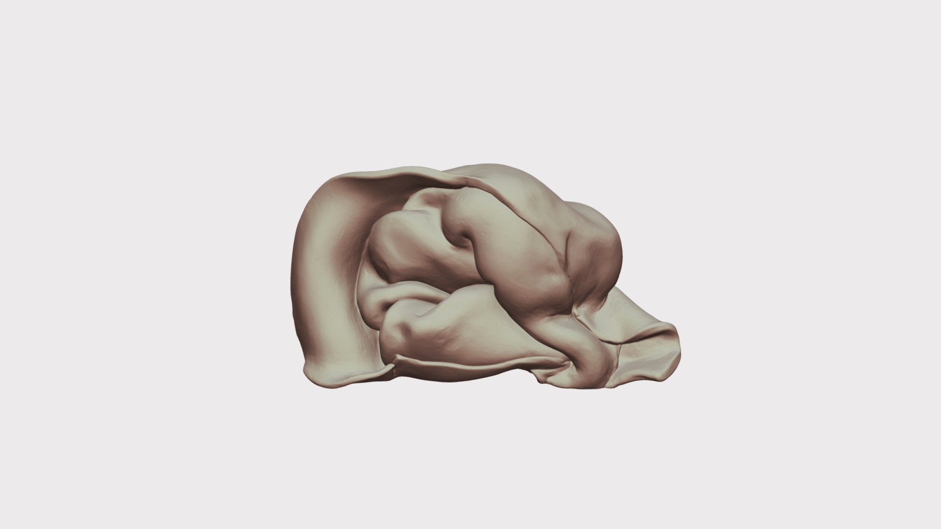 wonton_export