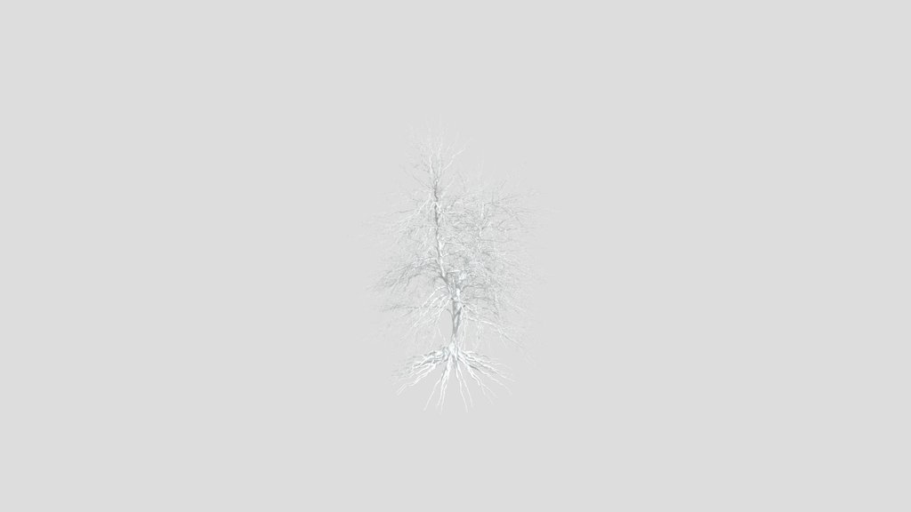 Dry Tree 09