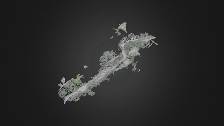Photogrammétrie d'une rivière 3D Model