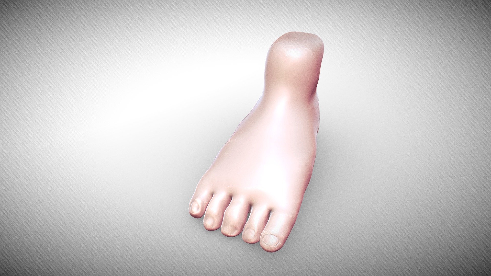 Foot - Download Free 3D model by dartuchiwa [c4c37a6] - Sketchfab