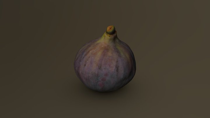 Black Fig 14 3D Model