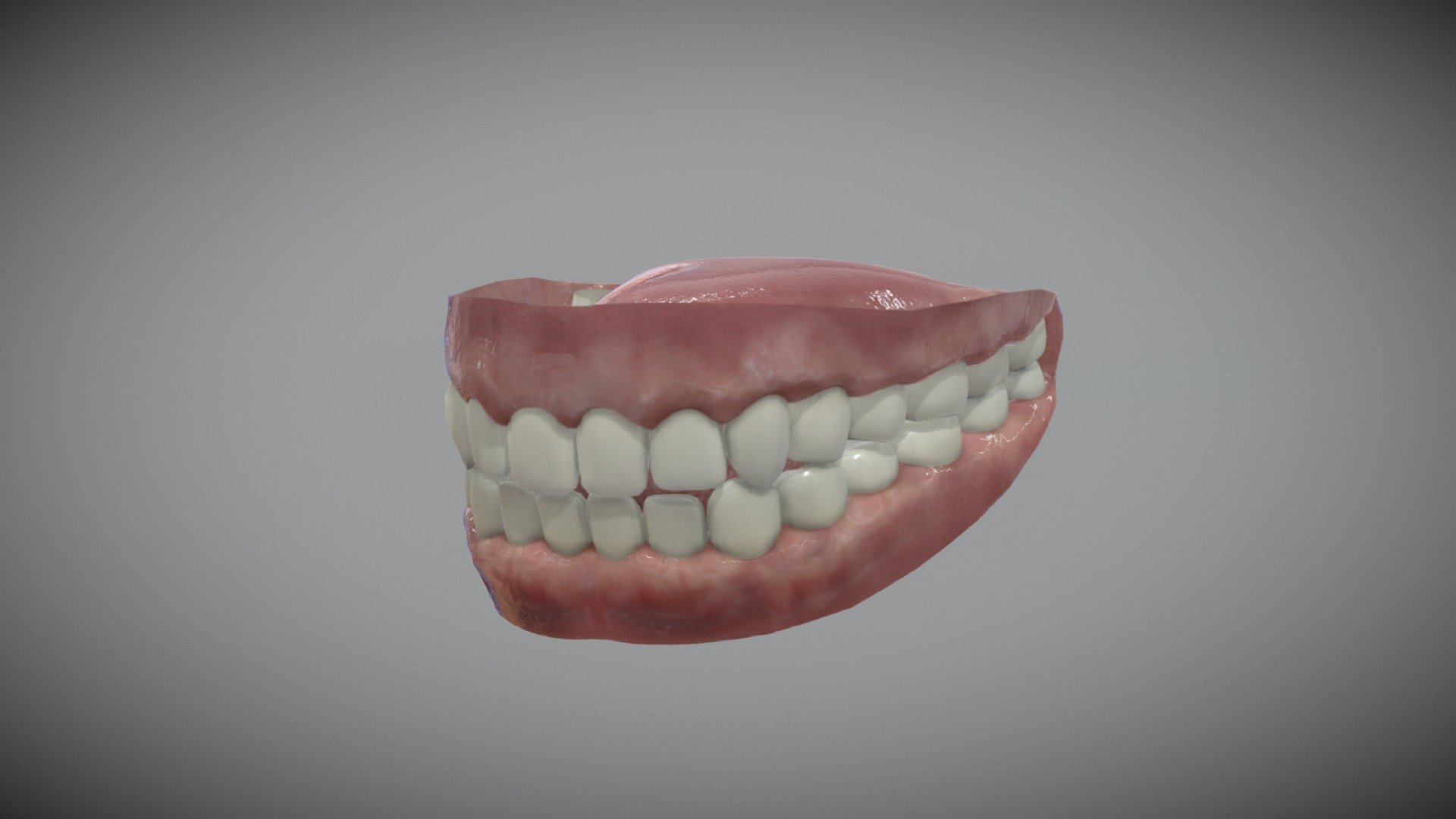 Teeth mold Scan 3D Model $35 - .obj - Free3D