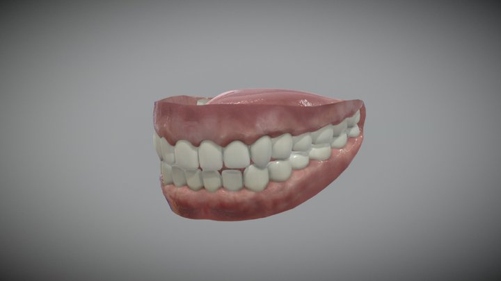 Human teeth 3D Model