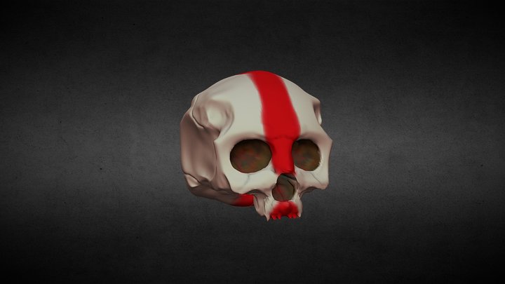 Skull 3D Model