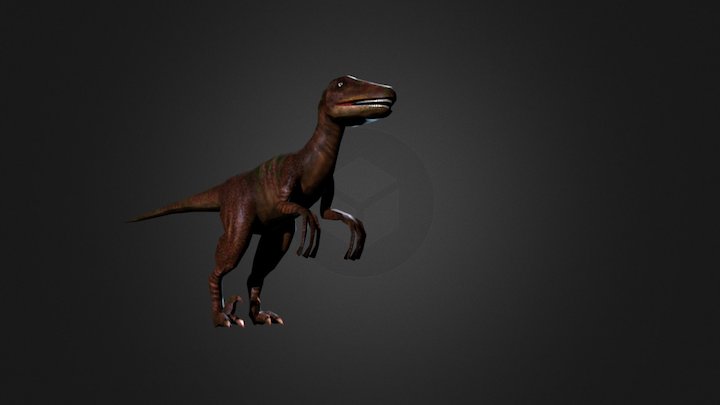 Velociraptors 3D Model