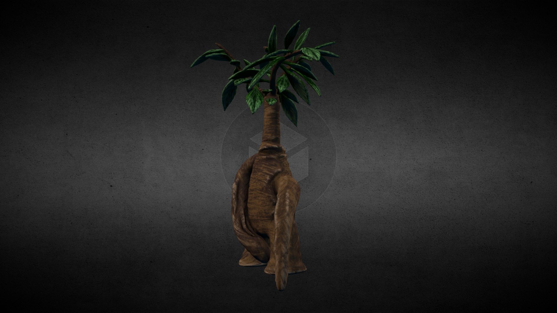 Martta's Masturbating Bonsai Tree