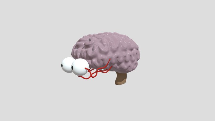 Cerebro 3D Model