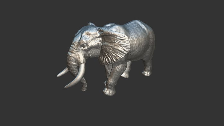 Scanner 3D à main - Jouet - Eléphant 1 3D Model
