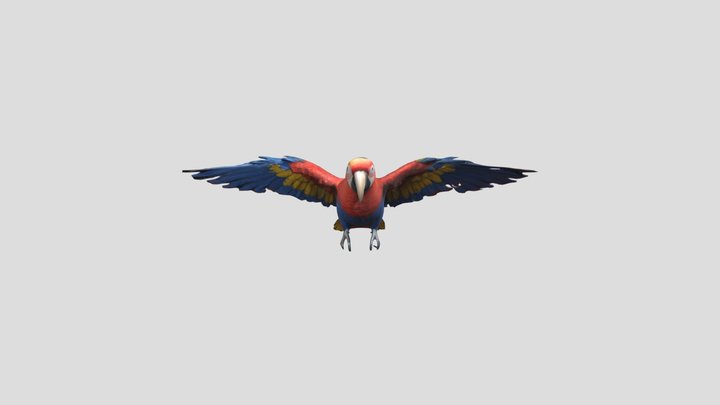 Colorful 3D Parrot 3D Model