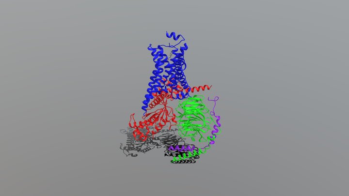 Brief introduction to GPCRs 3D Model