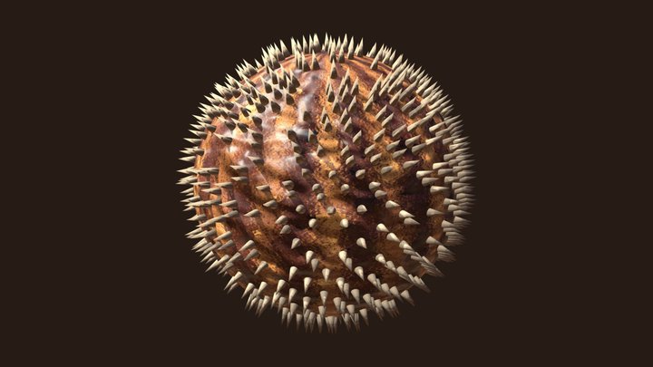 Spiky Melon 3D Model