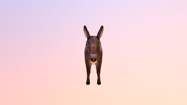 Donkey 3D Model