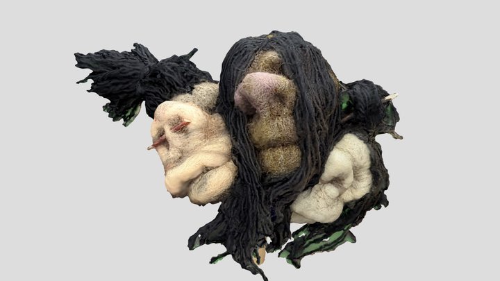 Shrunken Heads - Needle Felt 3D Model