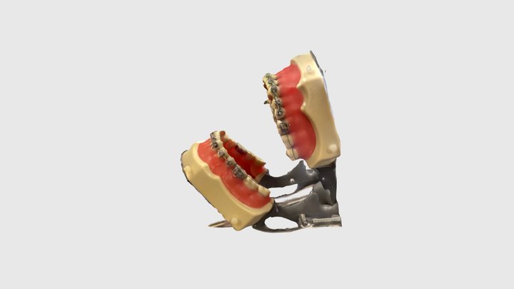 CPTC Dental Assistant 3D Model