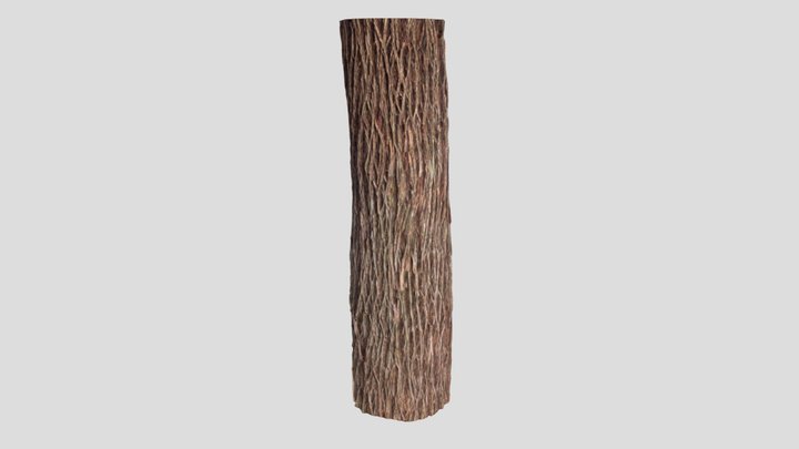 Osage Orange Bark