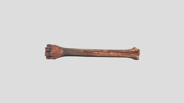 JS191 3D Model