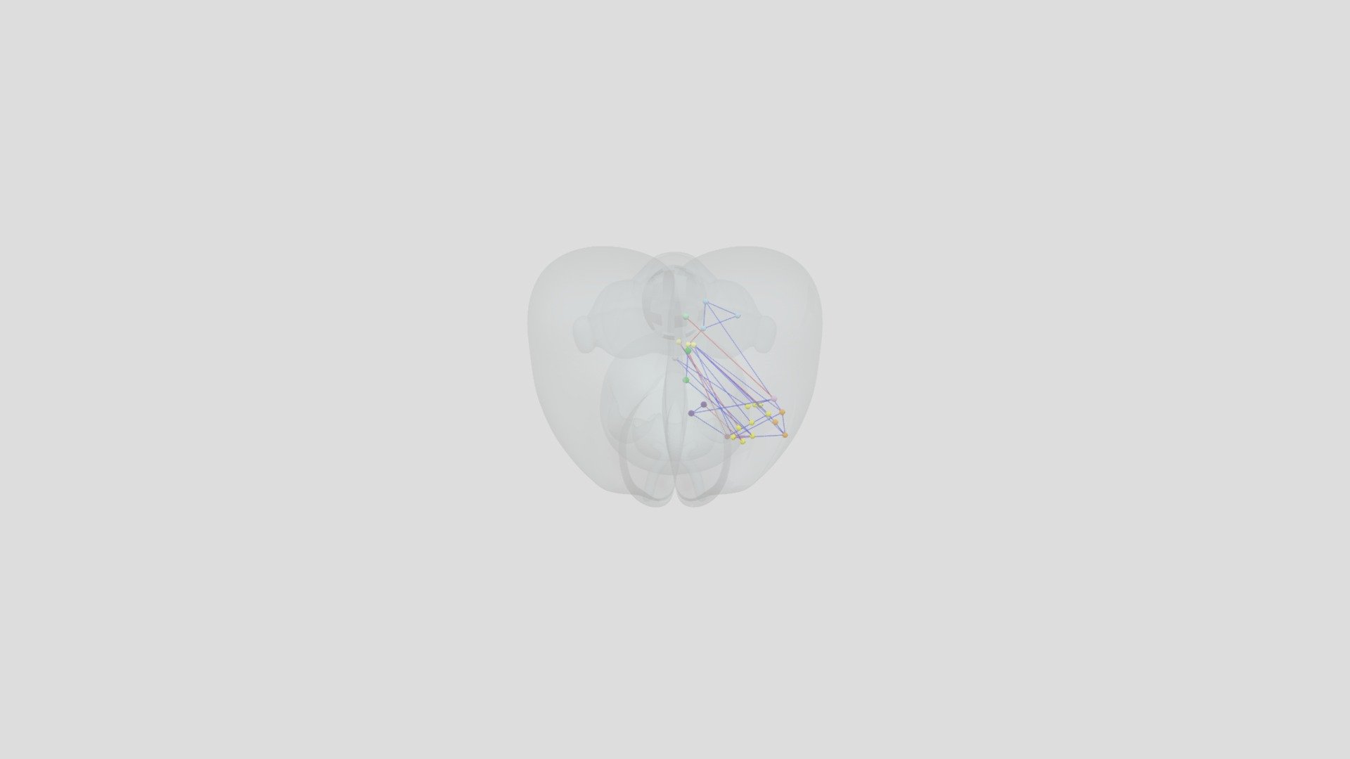Rat brain conecctions PRE - 3D model by j.abad [c4e3f1c] - Sketchfab