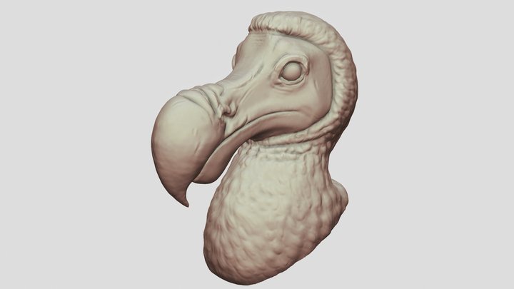 Dodo Bird Head Sculpt