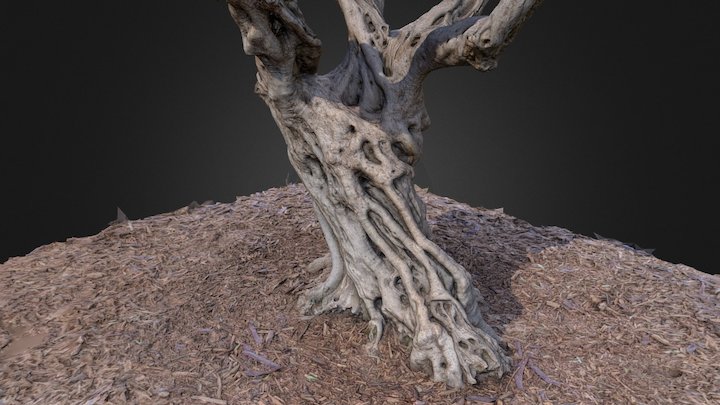 TREE, RAW Scan (images by Carlo Jongen) 3D Model