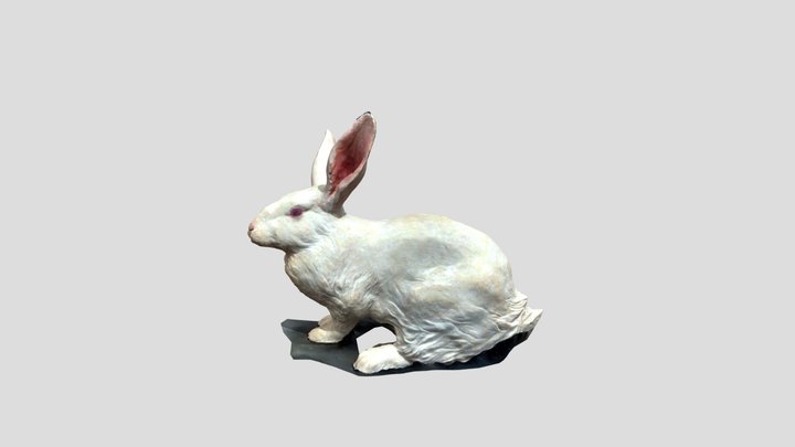 うさぎ 3D Model