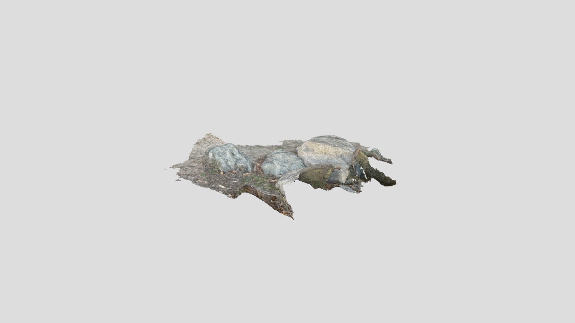 New Model