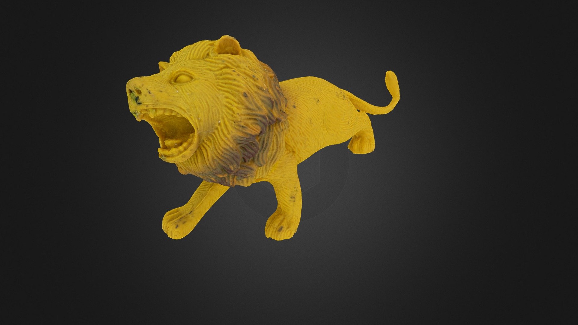 Lion2