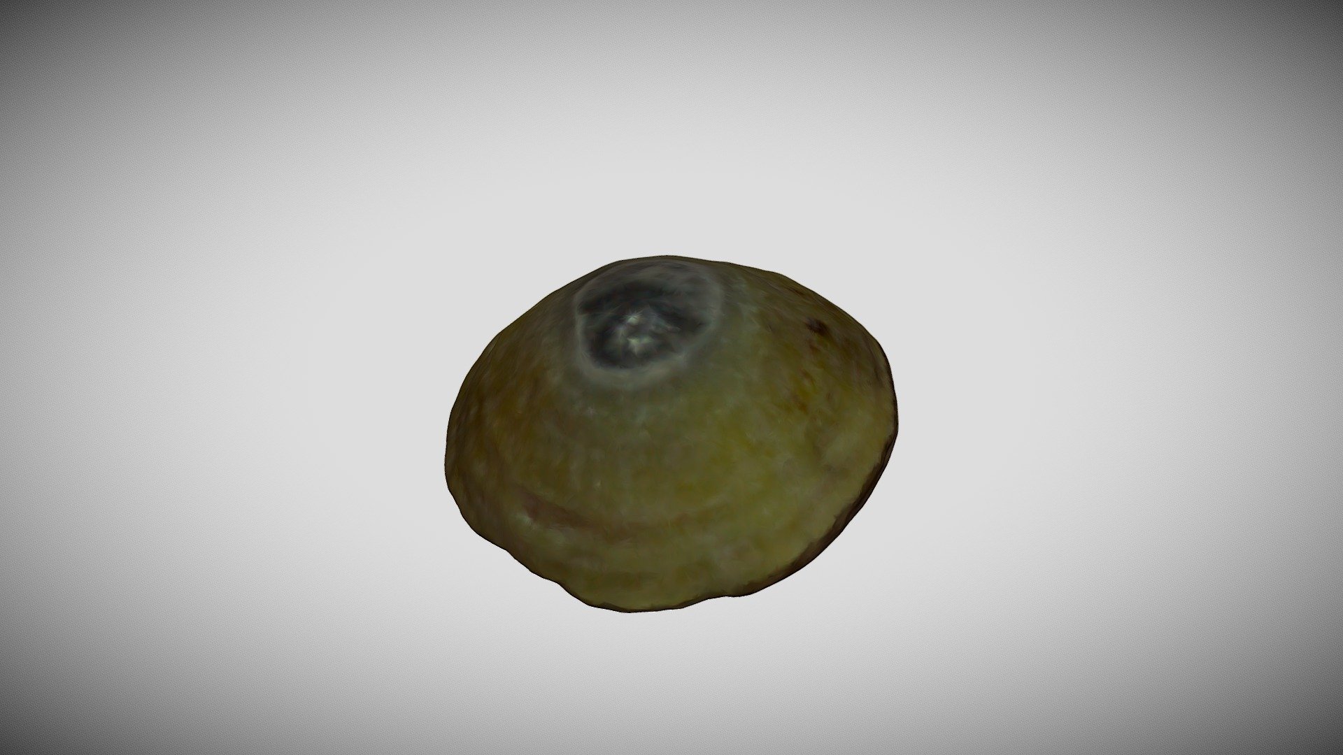 Brinik (ou bernique) - Île Molène — Sketchfab embed 3D viewer