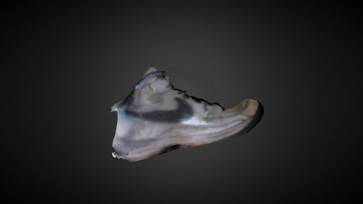 TennisShoes 3D Model
