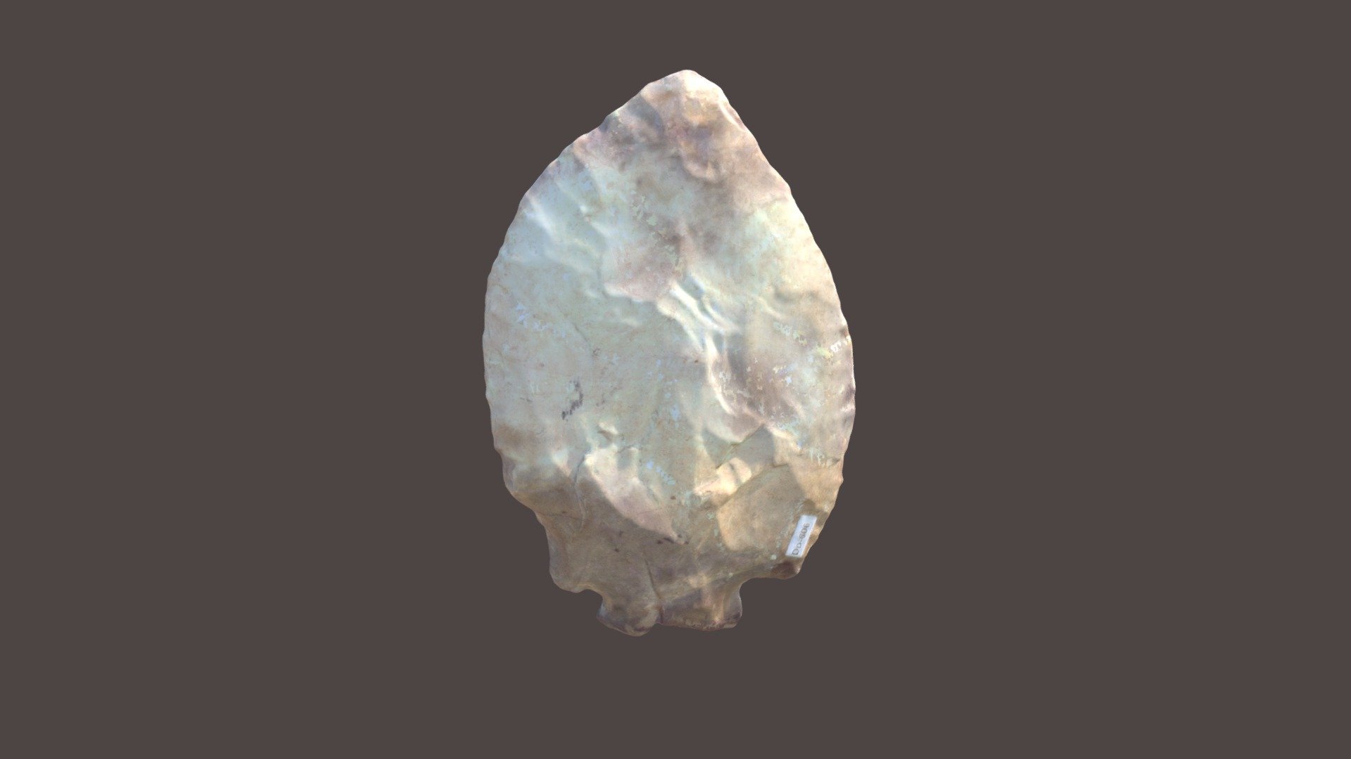 Do-606: Turkey-tail