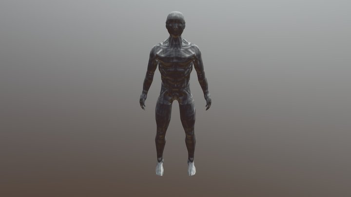 Male Anatomy model 3D Model