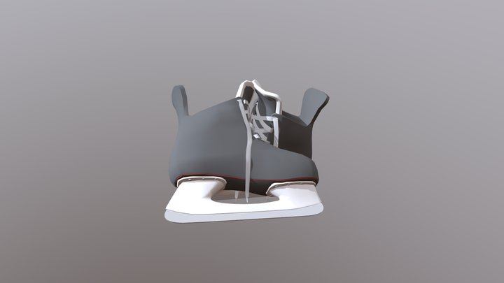 Skates Draft 3D Model