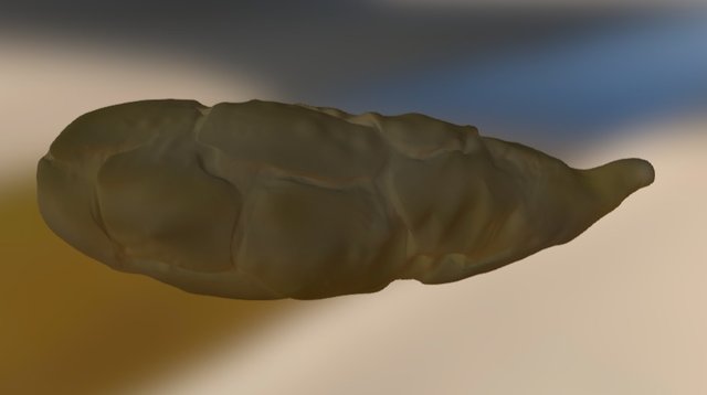 POOP 3D Model