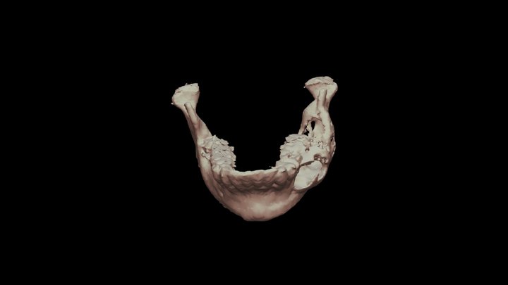 NAHEEDA 3D Model