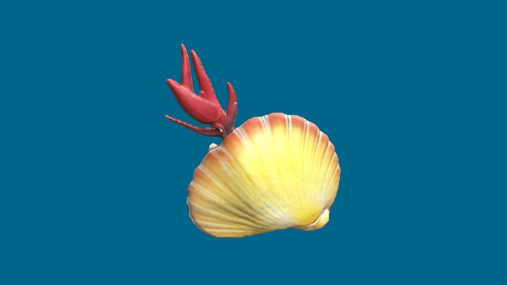 Sheel and Coral 3D Model