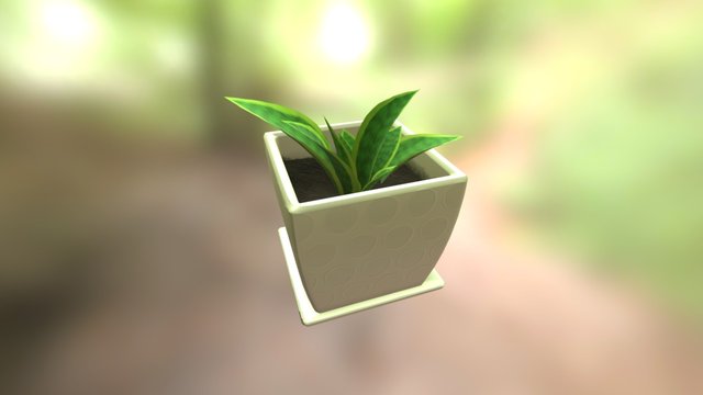 Potted Plant 3D Model