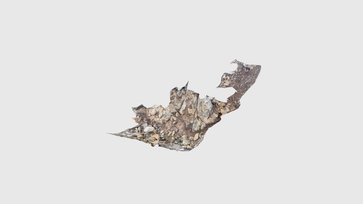Log in Bolafjall, westfjords, Iceland. 3D Model